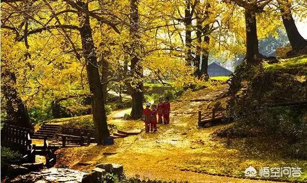 娘娘山海拔,贵州盘州市哪个景区最好玩？