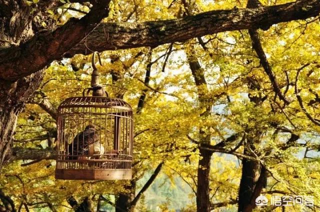 娘娘山海拔,贵州盘州市哪个景区最好玩？