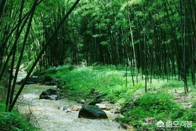 娘娘山海拔,贵州盘州市哪个景区最好玩？