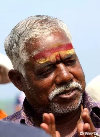 印度人属于什么人种