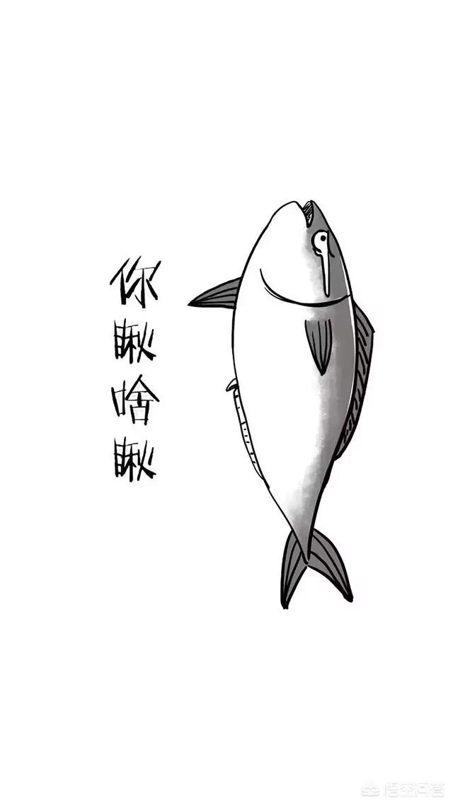 三国杀里面的无懈可击什么意思(三国杀中"无懈可击"的牌面图案为什么