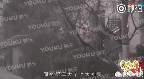 李小璐pgone搞过6次:李小璐看上PG One什么了？