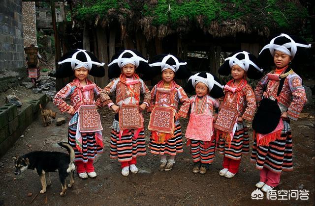 观鸟大年海报:贵州有哪些免门票又很值得一去的景点？