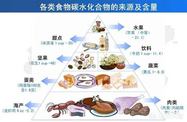 碳水化合物都包括什么？