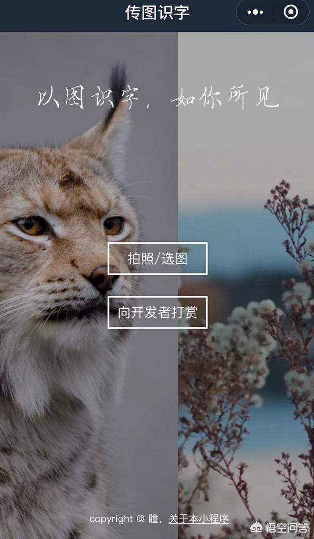 微信<a href=https://maguai.com/list/39-0-0.html target=_blank class=infotextkey>搞笑</a>网名简单又好听:说一说你见过最<a href=https://maguai.com/list/39-0-0.html target=_blank class=infotextkey>搞笑</a>的昵称有什么