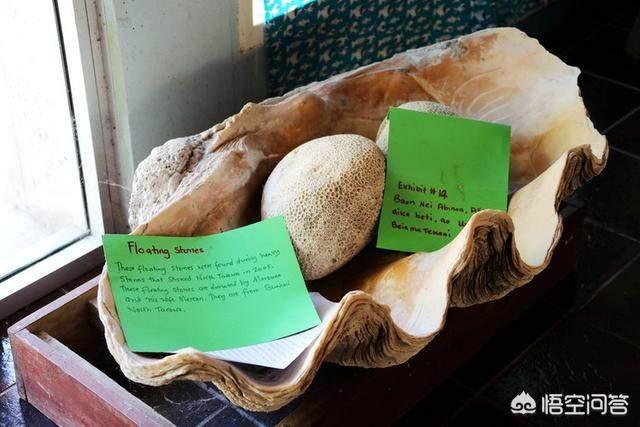 玉带活了是什么样子的,人生百态，你活成了什么样子？