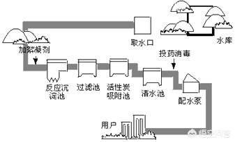 天津滨海獒园超标后代:你相信净水器的净水功能么？