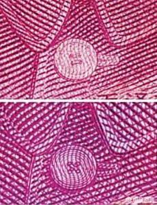 100个超级有趣的冷知识,人民币上有哪些鲜为人知的冷知识？