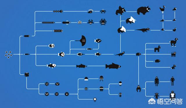 头条问答 为什么生命体具有多样性而却均共用一套遗传密码 10个回答