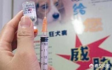 狗狂犬疫苗副作用:你家的狗注射了狂犬疫苗吗？如果不注射，有什么潜在危险？