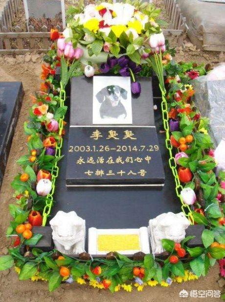 宠物狗尸体埋小区炸锅了:济南一小区猫狗接连蹊跷死亡，引爆邻里关系，这事你怎么看？