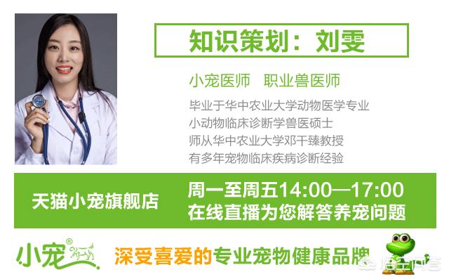 宠物健康知识大全:养宠物需要注意哪些事项？