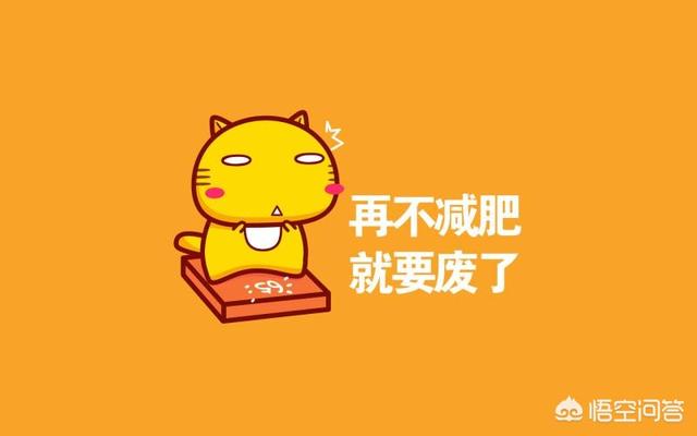 蜂蜜水减肥(蜂蜜水减肥的正确喝法)