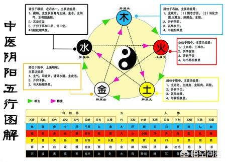 五行学说最早出自哪本论著？
