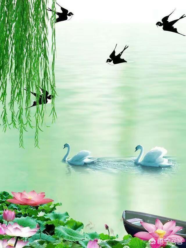 沉舟侧畔千帆过病树前头万木村形容的是什么现象？