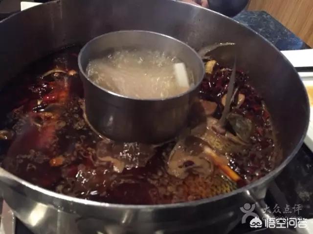 福原爱宠物医院嘉州:你喜欢有点笨笨的、做饭很好吃、心地很善良的女孩吗？ 福原爱宠物医院嘉州路