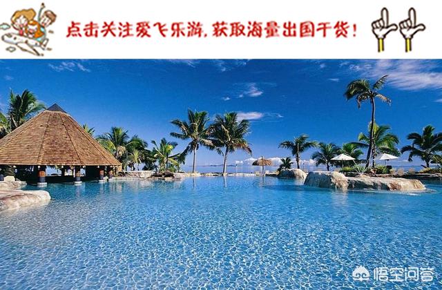 侏儒眼镜猴在印尼重现:侏儒眼镜猴又出现了吗 为什么每次王一梅总准备复出，辽宁队的比赛总看不到她？