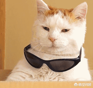 成功人士的十大良好习惯有哪些？