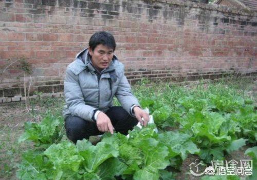关于朱之文深夜发文要退圈事件,你怎么看？