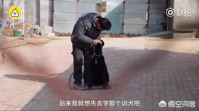 宠物上门喂养多少钱一次，养只猫大概要花费多少钱呢