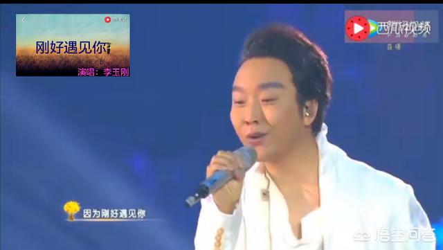 李玉刚的老婆:为什么李玉刚的《刚好遇见你》这么火？