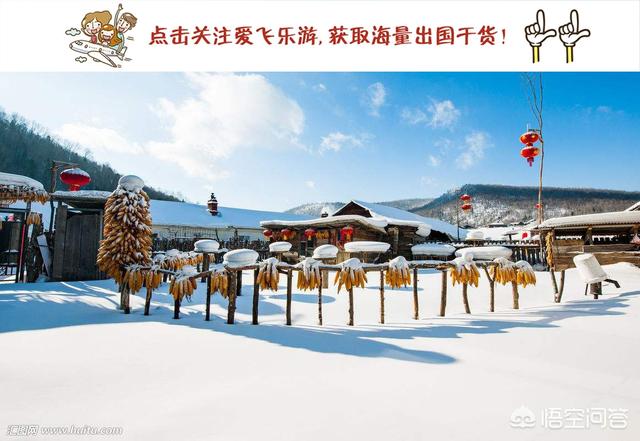 哈尔滨雪乡真实情况是怎么样的？
