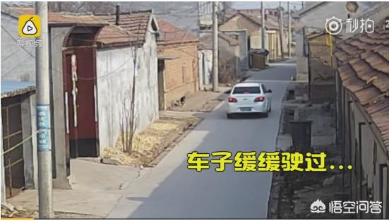 偷狗贼:那些偷狗贼被人们抓住了都是什么下场？ 偷狗犯法吗能判多长时间