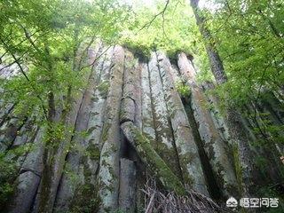 长白山天池水怪图片:海怪和水怪，有什么区别？