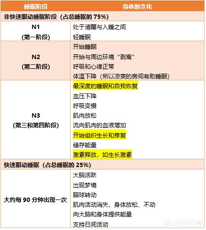 痘痘告诉你哪里生病:为什么人体免疫力下降了容易得皮肤病？