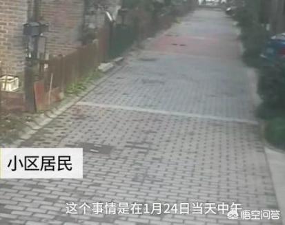 男子谋生杀猫卖钱被称残忍:如何看待大学生拍摄虐猫视频贩卖事件？