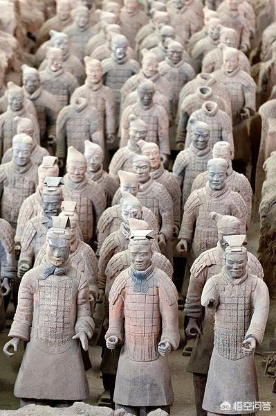 哥伦比亚盆地侏儒兔高清大图:为什么人们总说陕西历史底蕴比河南更深厚？