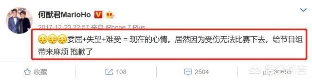 何猷君最强大脑:《最强大脑》何猷君退赛后比赛安排有变化吗？