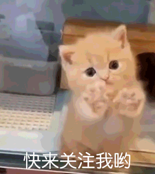 狗狗生病咨询软件下载:小狗总爱挠痒痒可也看不到有虫子这是怎么回事？