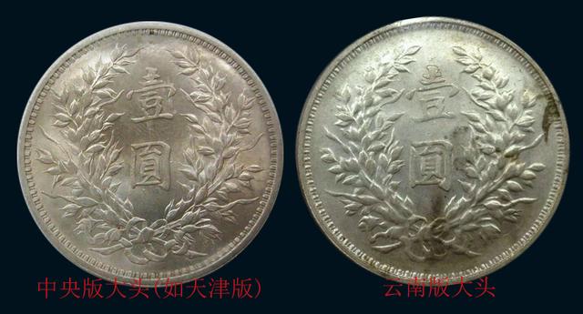 真假马齿苋图片视频:如何鉴别网恋照片是不是真的？