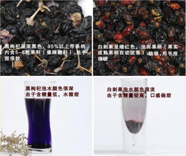 黑枸杞植物饮料价格，市场上的黑枸杞种类繁多，怎样鉴别呢