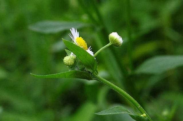 人在穷的时候语录,人在最穷苦的时候该怎样独善其身？