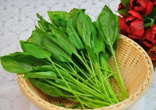 肾结石不能吃什么:得了肾结石的人可以吃哪些食物哪些食物要少吃