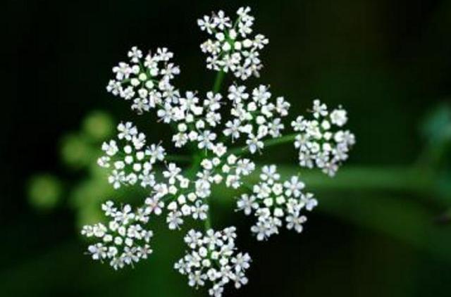 人在穷的时候语录,人在最穷苦的时候该怎样独善其身？