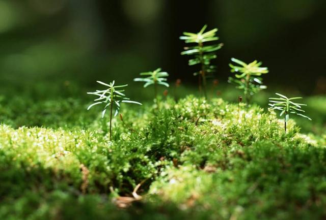 人在穷的时候语录,人在最穷苦的时候该怎样独善其身？