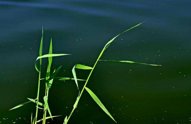人在穷的时候语录,人在最穷苦的时候该怎样独善其身？