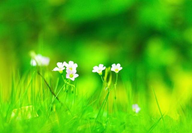 人在穷的时候语录,人在最穷苦的时候该怎样独善其身？