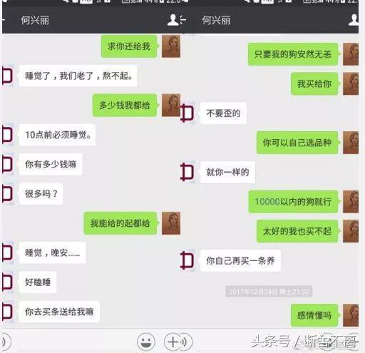 柯基摔狗事件女主人:被狗绳绊倒的老人身亡，真正的狗主人会承担责任么？
