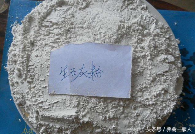 鸡舍环境消毒:鸡舍带鸡消毒用什么药 用生石灰给鸡舍消毒？可以用吗？