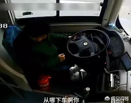 济南男子抱狗坐公交下跪:济南一大妈上公交不投币，给司机下跪自称是要饭的，你怎么看？