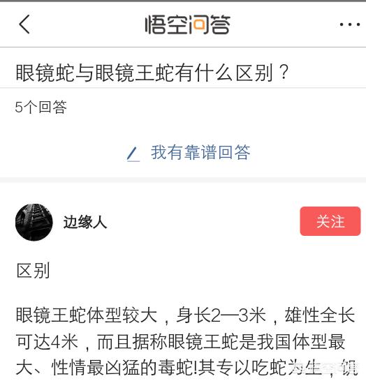 蓝长腺珊瑚蛇大战眼镜王蛇:农村里有种草，眼镜王蛇见了都害怕，这是什么草啊？