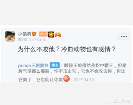 蓝长腺珊瑚蛇大战眼镜王蛇:农村里有种草，眼镜王蛇见了都害怕，这是什么草啊？