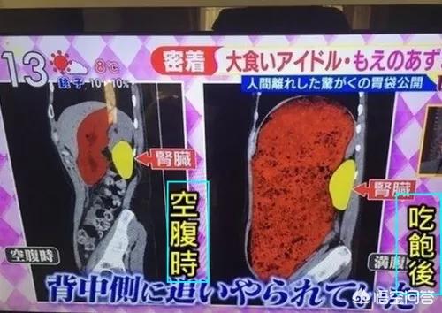 悟空问答 网红大胃王都是真的吗 柿子熟了就得摘的回答 0赞