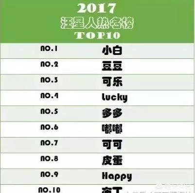 给狗狗取名字独一无二:怎样给自己的狗狗取名字？