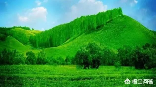 小汪汪怎么给好友点赞,怎么在微信朋友圈评论或者点赞？