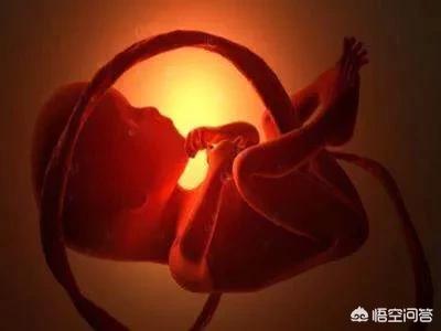 有胎芽是怀孕多少周了，可以看见胎芽，大约是怀孕多少周了？
